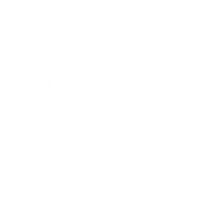 漯水科技 公司图标